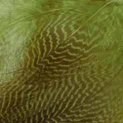 Wapsi Fly Gadwall Barred Flank