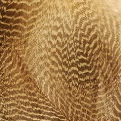 Wapsi Fly Gadwall Barred Flank