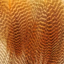 Wapsi Fly Gadwall Barred Flank