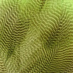 Wapsi Fly Gadwall Barred Flank