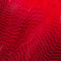 Wapsi Fly Gadwall Barred Flank