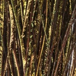 Wapsi Fly Fly Tying Materials Peacock Herl - Natural, Strung