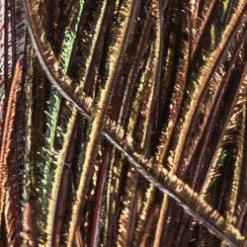 Wapsi Fly Fly Tying Materials Peacock Herl - Natural, Strung