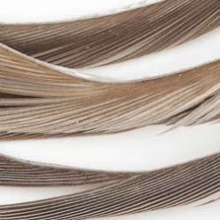 Wapsi Fly Fly Tying Materials Goose Biots