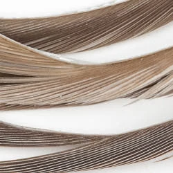 Wapsi Fly Fly Tying Materials Goose Biots