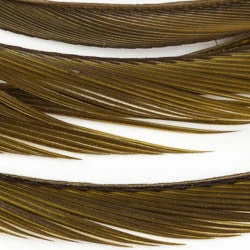 Wapsi Fly Fly Tying Materials Goose Biots