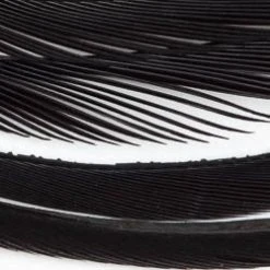 Wapsi Fly Fly Tying Materials Goose Biots