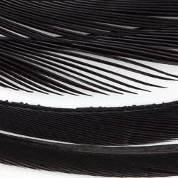 Wapsi Fly Fly Tying Materials Goose Biots