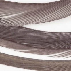 Wapsi Fly Fly Tying Materials Goose Biots