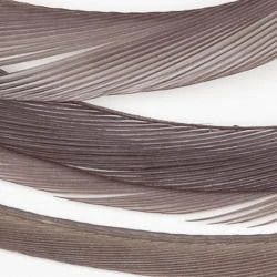 Wapsi Fly Fly Tying Materials Goose Biots