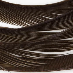 Wapsi Fly Fly Tying Materials Goose Biots