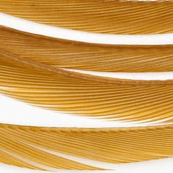 Wapsi Fly Fly Tying Materials Goose Biots