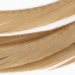 Wapsi Fly Fly Tying Materials Goose Biots