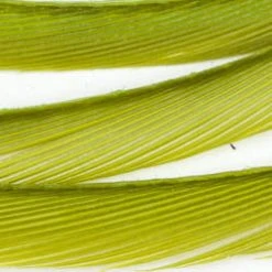 Wapsi Fly Fly Tying Materials Goose Biots