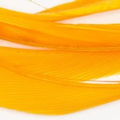 Wapsi Fly Fly Tying Materials Goose Biots