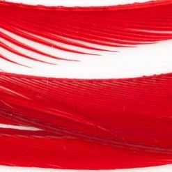 Wapsi Fly Fly Tying Materials Goose Biots