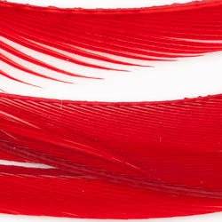 Wapsi Fly Fly Tying Materials Goose Biots