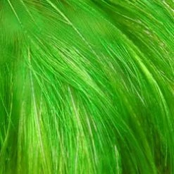 Wapsi Fly Golden Pheasant Crest