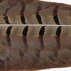 Wapsi Fly Pheasant Tail Clump