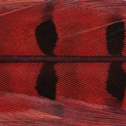 Wapsi Fly Pheasant Tail Fly Tying Materials