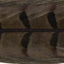 Wapsi Fly Pheasant Tail Fly Tying Materials