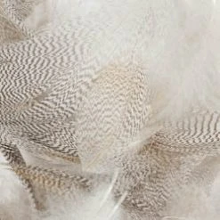 Wapsi Fly Mallard Barred Flank