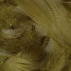 Wapsi Fly Mallard Barred Flank