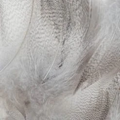 Wapsi Fly Mallard Barred Flank