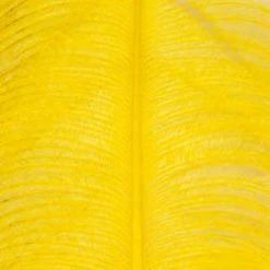 Wapsi Fly Ostrich Plumes Fly Tying Materials