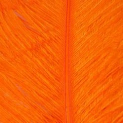 Wapsi Fly Ostrich Plumes Fly Tying Materials