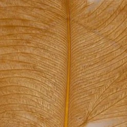 Wapsi Fly Ostrich Plumes Fly Tying Materials