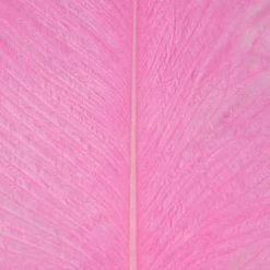 Wapsi Fly Ostrich Plumes Fly Tying Materials