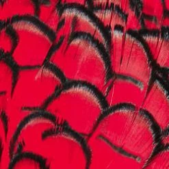 Wapsi Fly Fly Tying Materials Lady Amherst Pheasant Neck