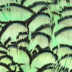 Wapsi Fly Fly Tying Materials Lady Amherst Pheasant Neck