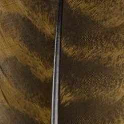 Wapsi Fly Ozark Turkey Quill