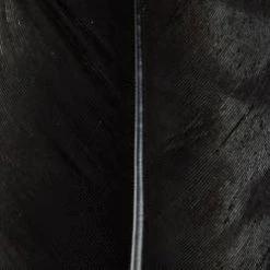 Wapsi Fly Ozark Turkey Quill