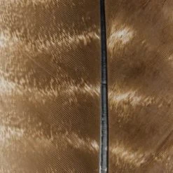 Wapsi Fly Ozark Turkey Quill