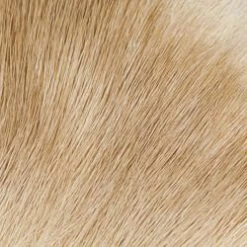 Wapsi Fly Deer Body Hair Fly Tying Materials