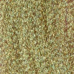 Wapsi Fly Flashabou Accent