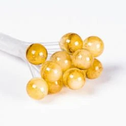 Enrico Puglisi Ltd. EP Crab/Shrimp Eyes