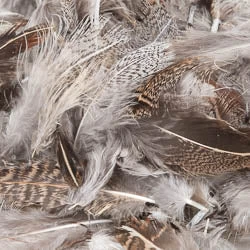 Hareline Dubbin, Inc. Hungarian Partridge Feathers Fly Tying Materials