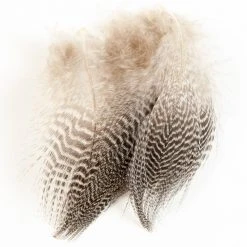 Wapsi Fly Teal Barred Flank Fly Tying Materials