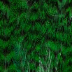 Wapsi Fly Bass/Salt Neck Fly Tying Materials