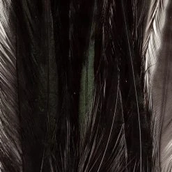 Wapsi Fly Fly Tying Materials Dry Fly Hackle Pack