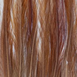 Wapsi Fly Fly Tying Materials Dry Fly Hackle Pack