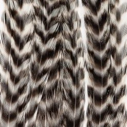 Wapsi Fly Fly Tying Materials Dry Fly Hackle Pack