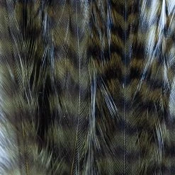 Wapsi Fly Fly Tying Materials Dry Fly Hackle Pack