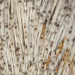 Wapsi Fly Rooster Neck Prime Fly Tying Materials