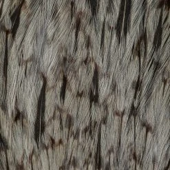 Wapsi Fly Rooster Neck Prime Fly Tying Materials