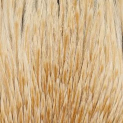 Wapsi Fly Rooster Neck Prime Fly Tying Materials